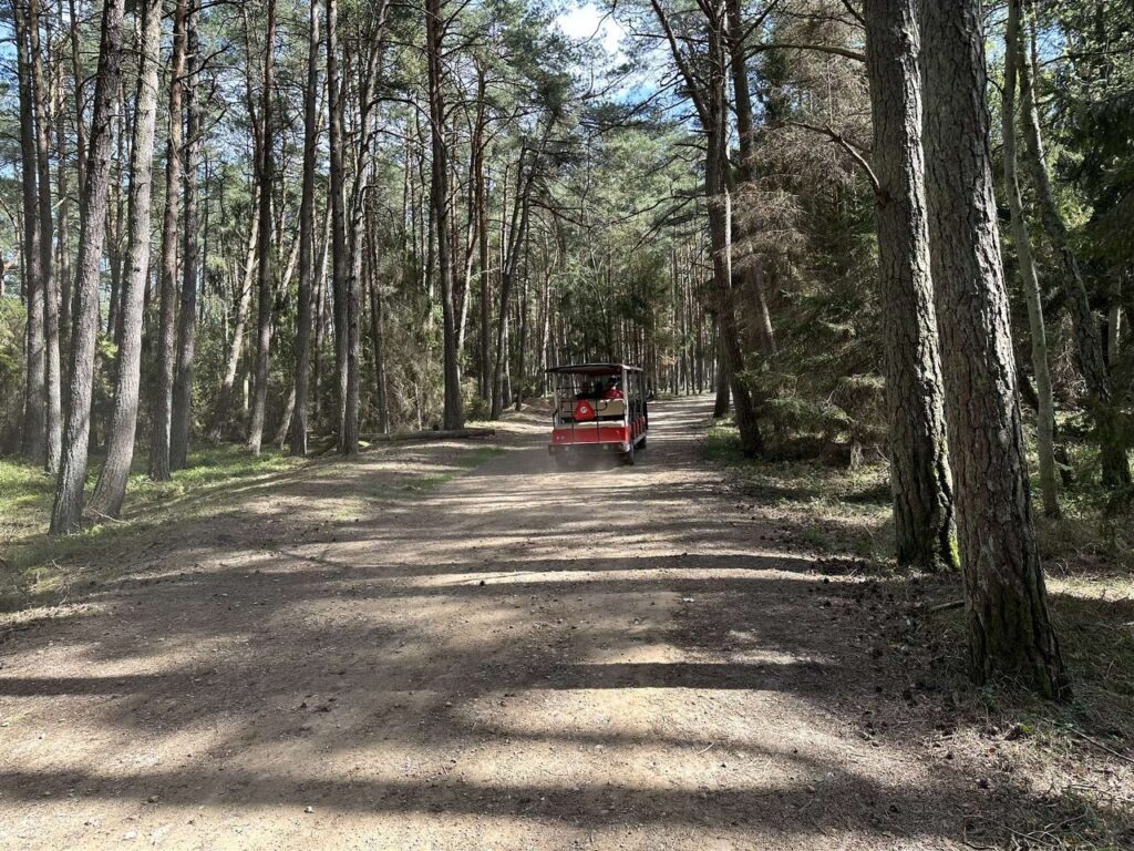 Łebskie Ruchome Wydmy, Wydma Łącka